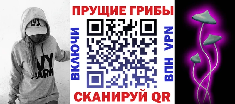 Галлюциногенные грибы Psilocybine cubensis  это формула  Сокол  купить закладку  mega вход 